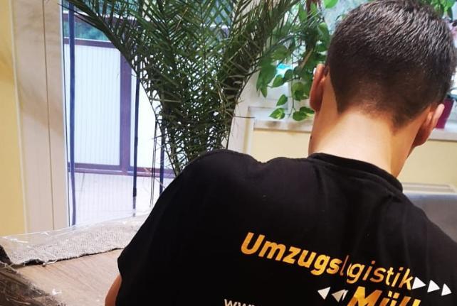 Behördenumzug Preise und Kosten Niederau
